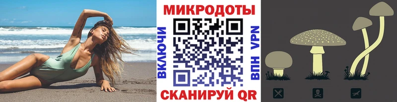 Галлюциногенные грибы Psilocybe  блэк спрут ссылки  Юхнов 