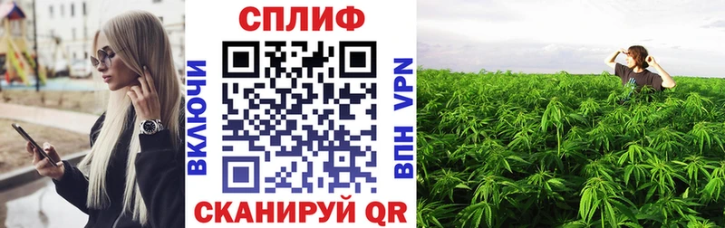 Бошки марихуана Ganja Юхнов